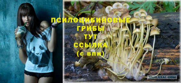 кокаин колумбия Алексин