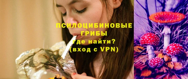 бошки Алзамай